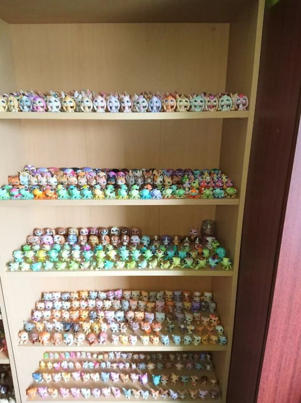 Mega Littlest Pet Shop Collection – Around 1800 Pets & Figures