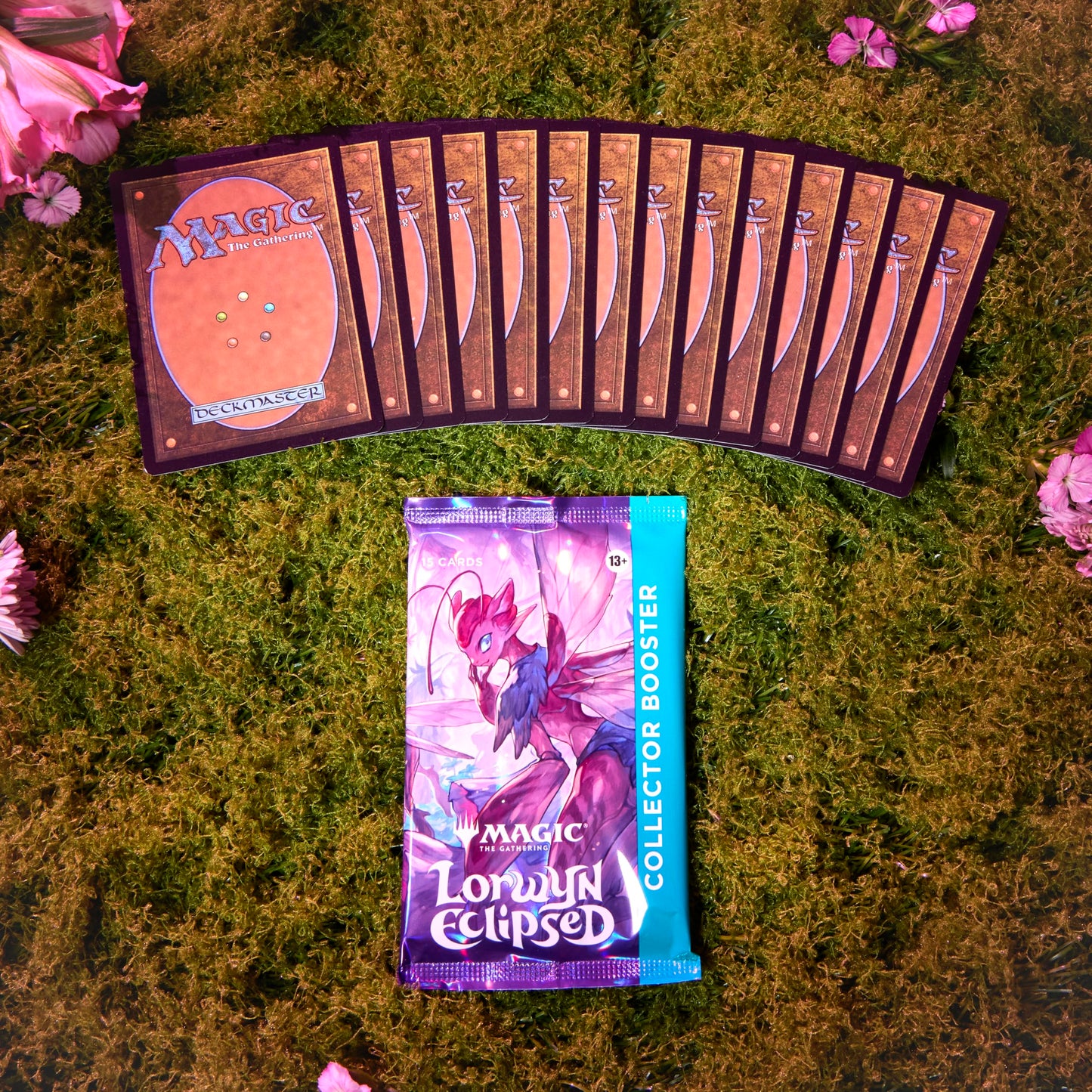 Magic: the Gathering Lorwyn Eclipsed - Collector Booster Box | 12 Packs